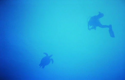 Richard Walters SCUBA diving in Tobago