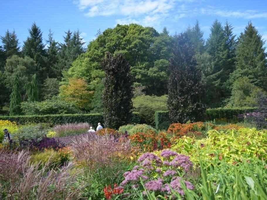 Herbaceous borders at RHS Rosemoor