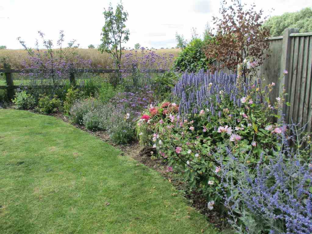 Garden Design Across Norwich And Norfolk Consultation To Completion
