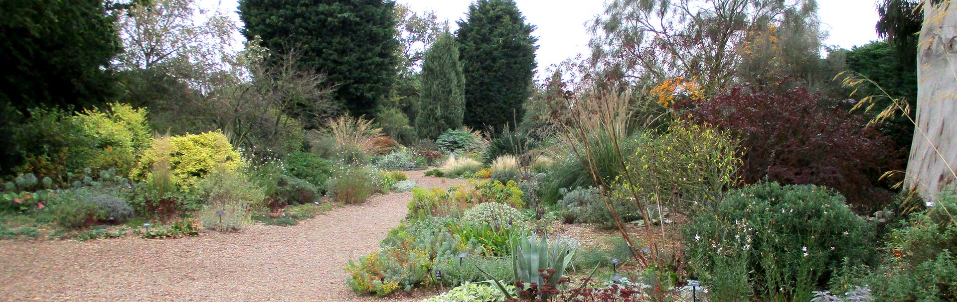 Mediterranean garden ideas - Inspiration for your own dry garden