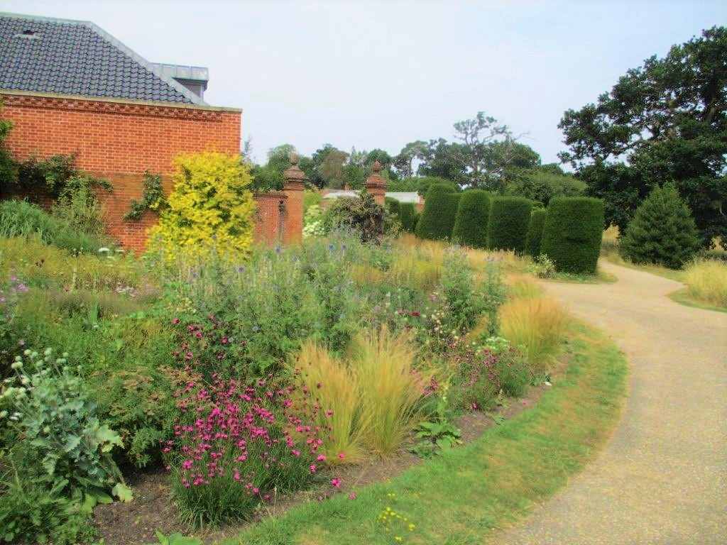 North Garden looking back to the Herb Garden with Penstemon and grasses in the foreground