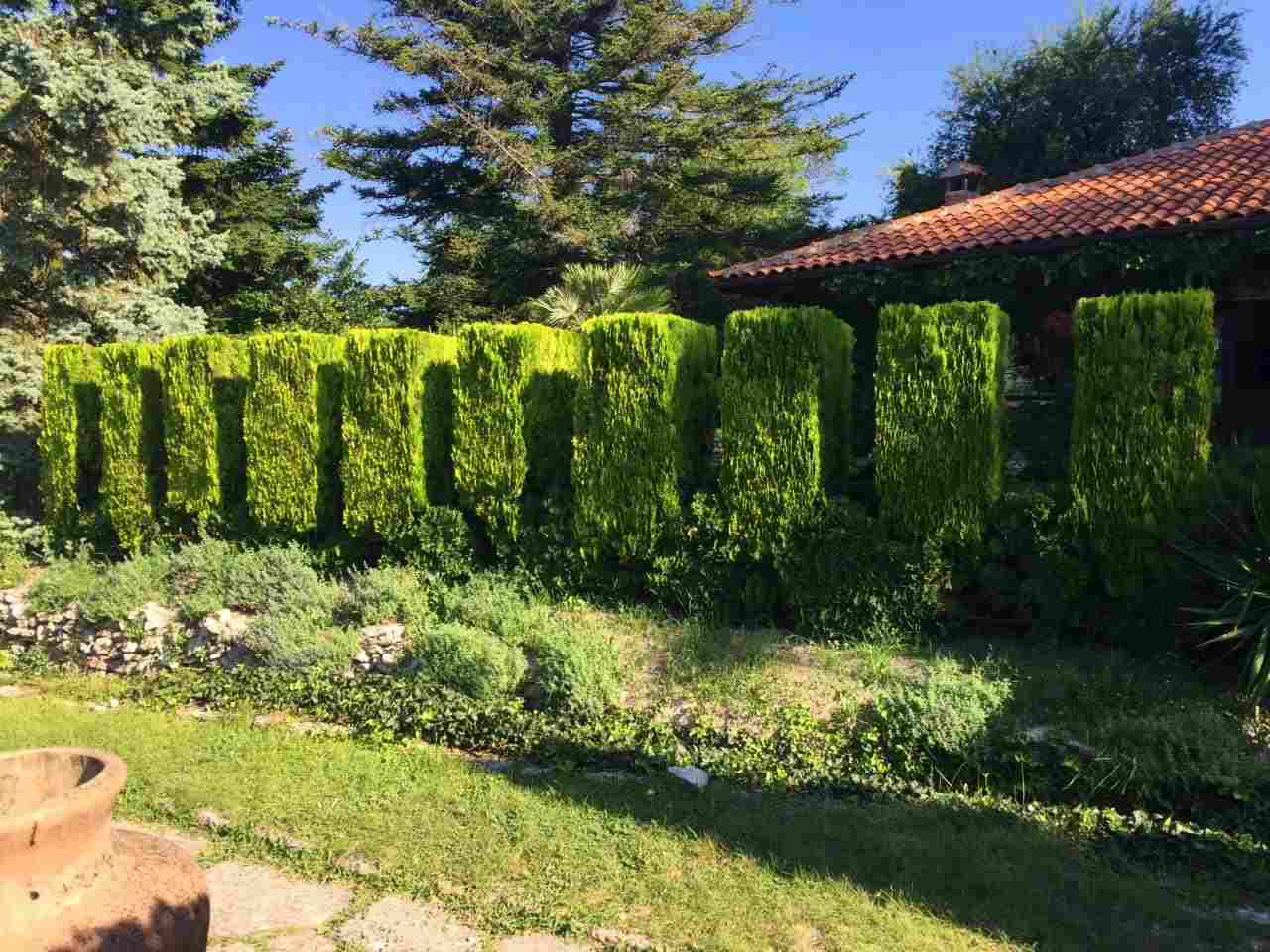 Formal clipped hedge