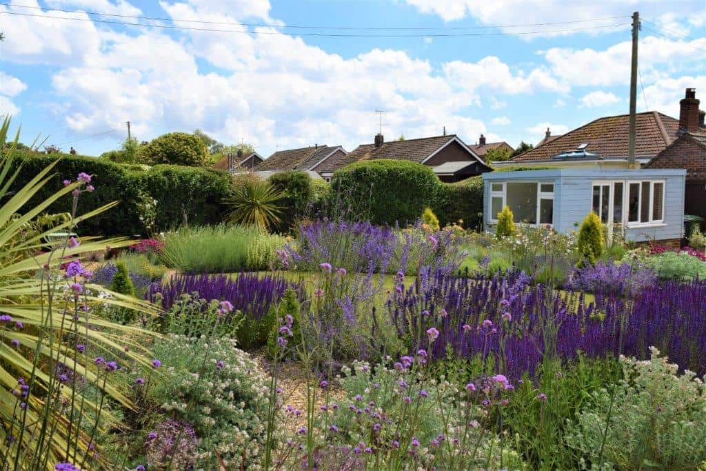 Mediterranean-style planting with salvias, verbenas and lavender in a North Norfolk garden designed by Richard Walters Garden Design