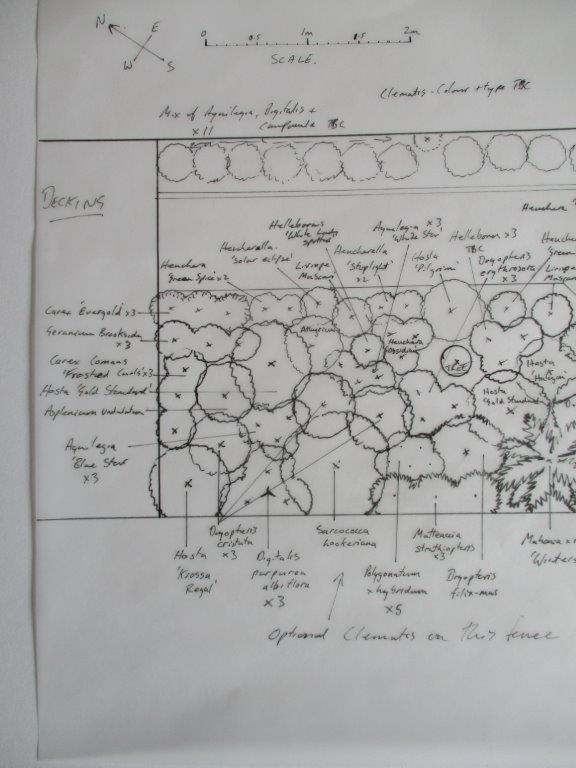 Back garden design showing the proposed planting layout at the end of the garden