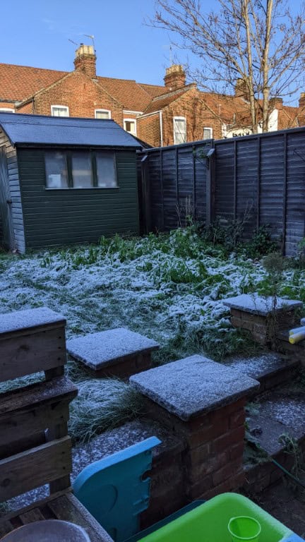 Norwich garden before conversion into a restful retreat, showing an existing garden shed