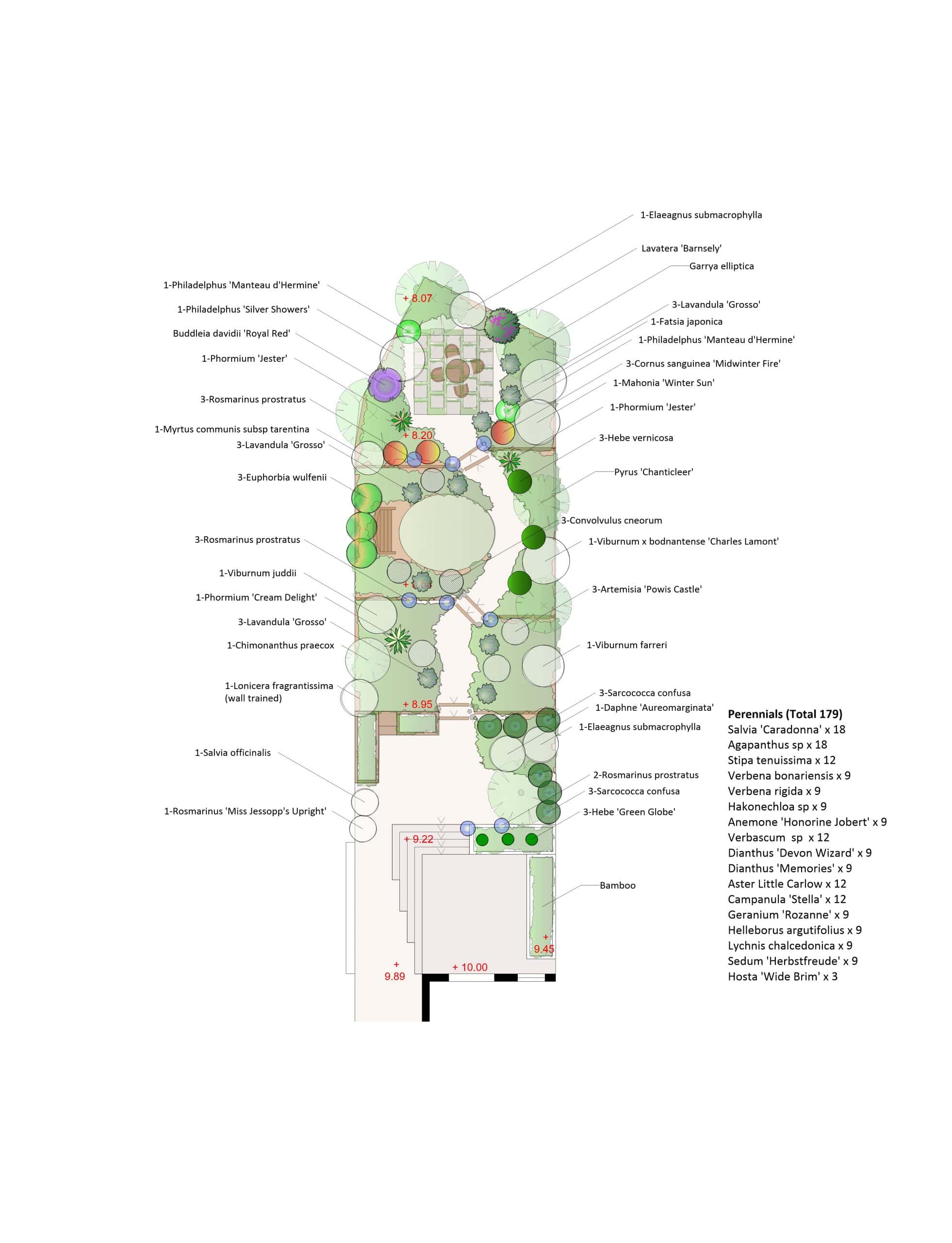 Terraced-garden-planting-plan-Norwich 2D planting plan for a terraced Norwich garden showing plants for year round interest